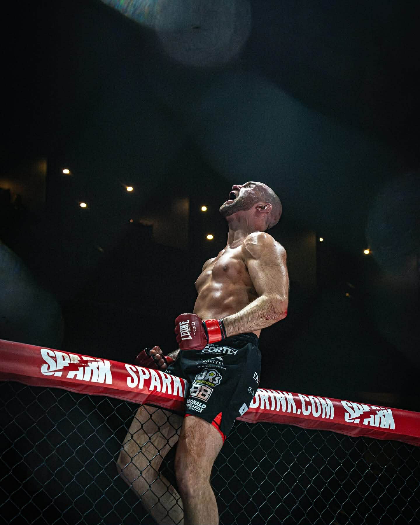 Julien Leblanc - UFC Fighter